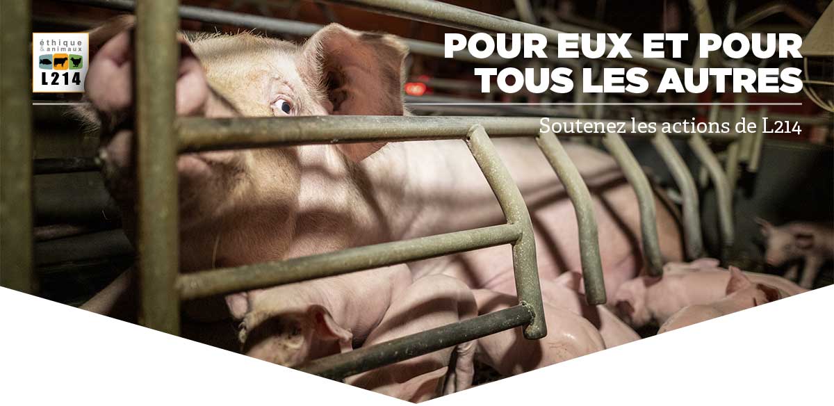Pour lui et pour tous les autres, soutenez les actions de L214