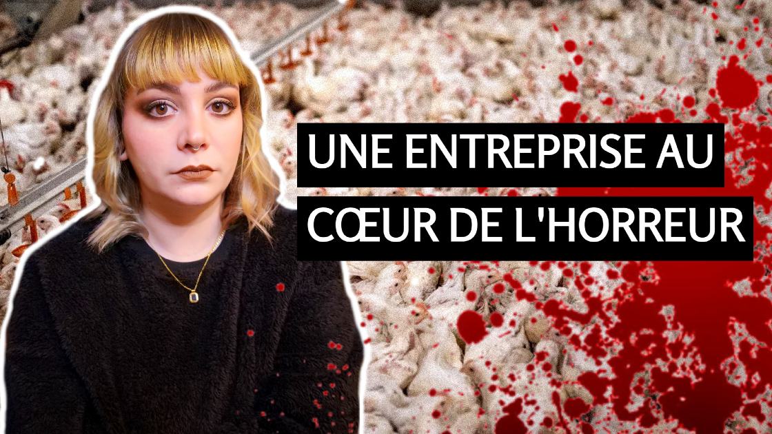 Vidéo de Sonya Lwu