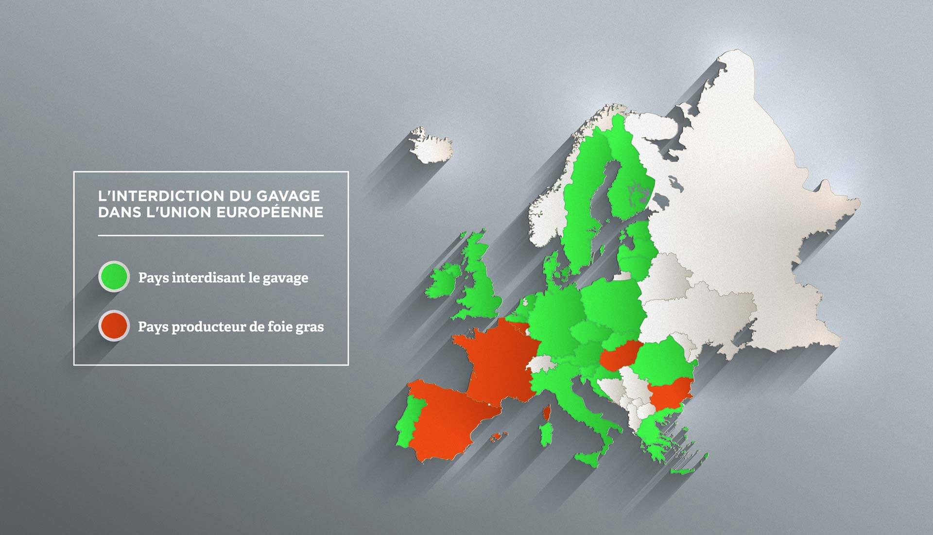 Le Gavage Interdit à Travers Le Monde