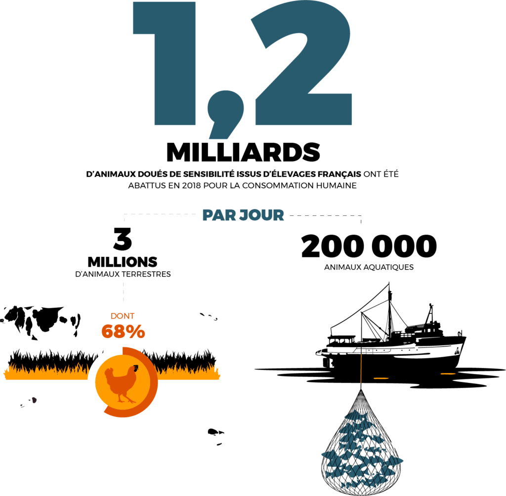 1,2 milliards d'animaux tués en 2018