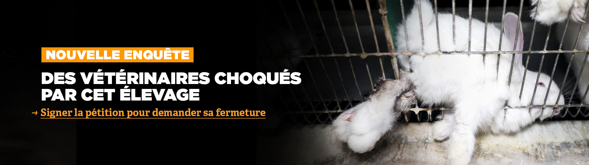 Nouvelle enquête : un élevage de lapins vendus par Le Gaulois
