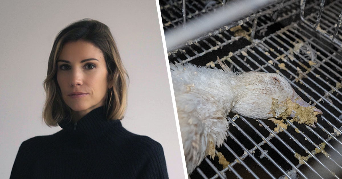 La barbarie derrière le foie gras