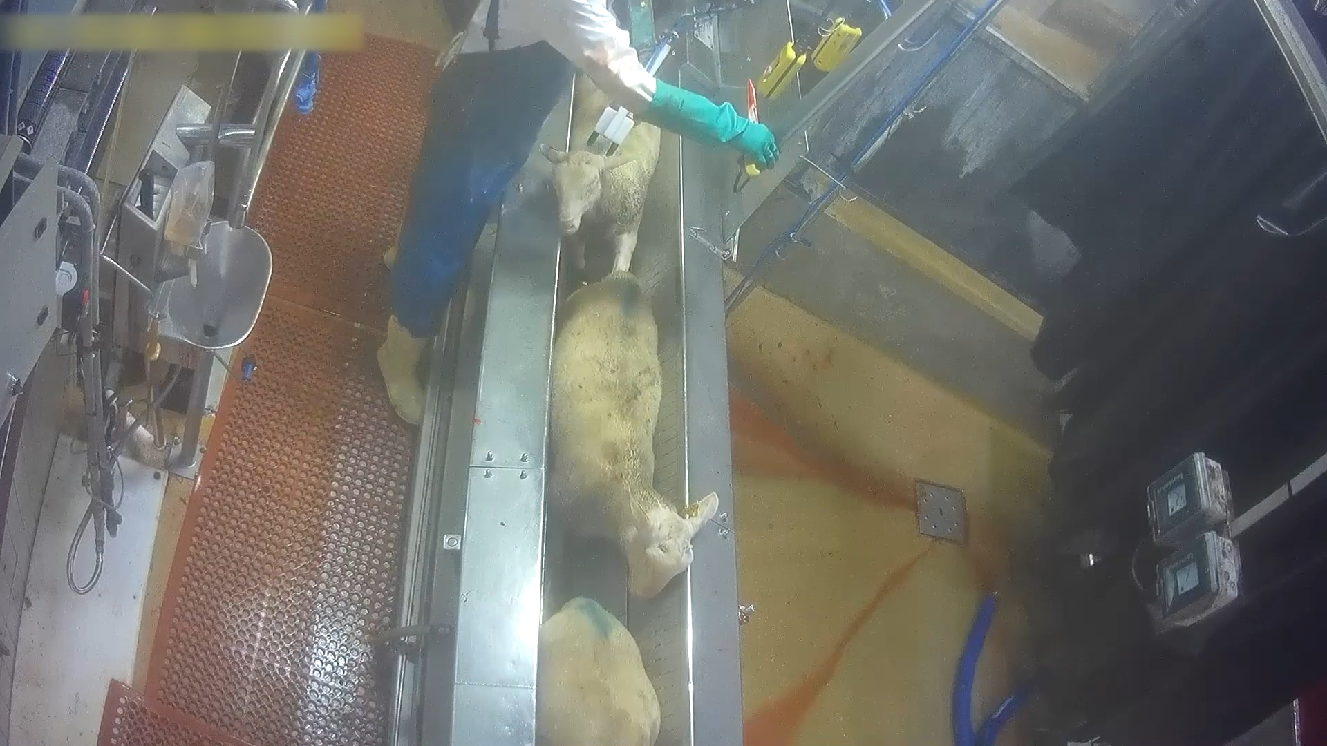 Abattoir de Rodez