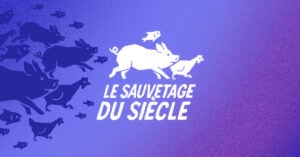 Le sauvetage du siècle