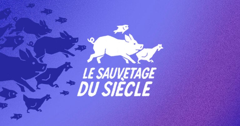 Le sauvetage du siècle