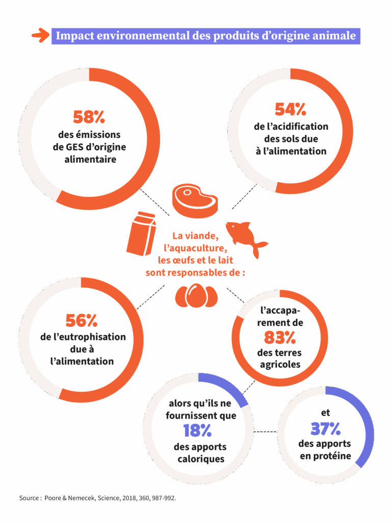 Infographie sur les impacts de la consommation de viande sur l’environnement