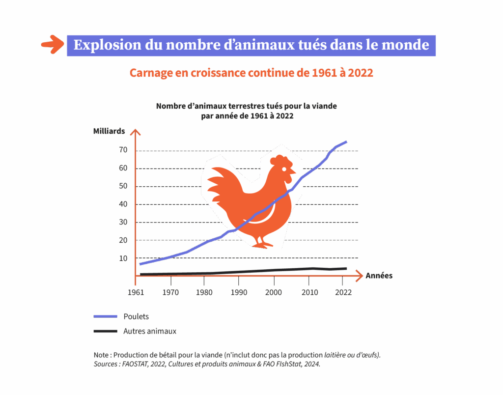Nombre de poulets et d’animaux tués pour la viande depuis 1961