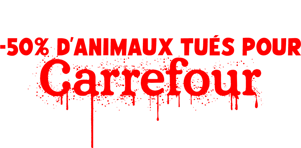 Le cadeau que l'on veut: -50% d'animaux tués pour Carrefour