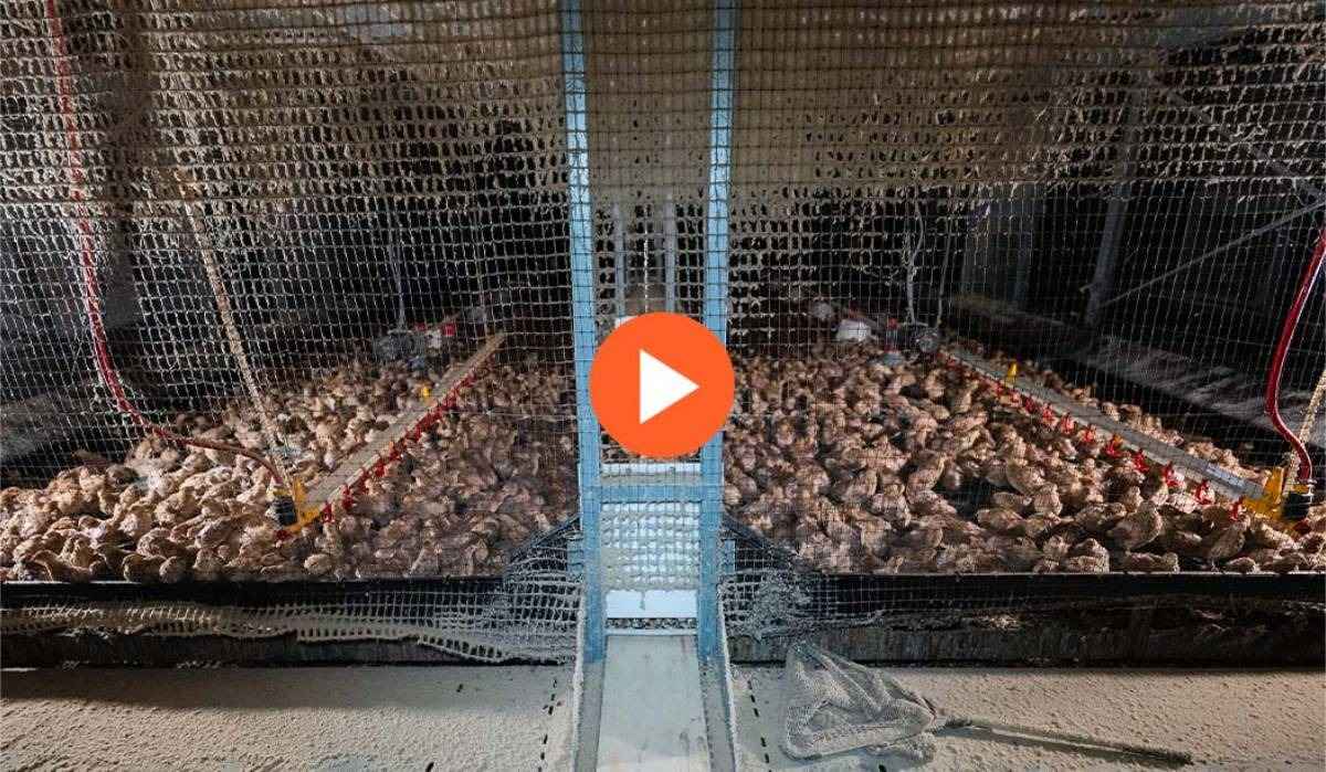 couverture vidéo de l'enquête 