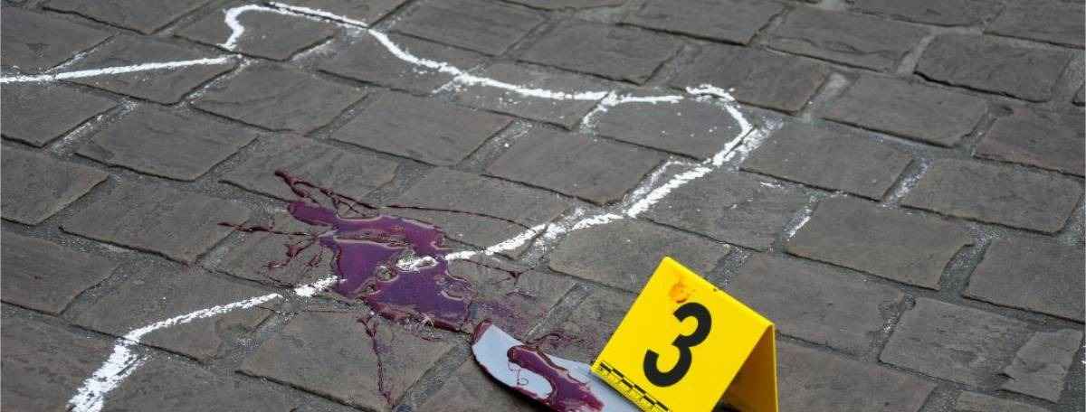 Mobilisation de l’association L214 lors d’une action scène de crime