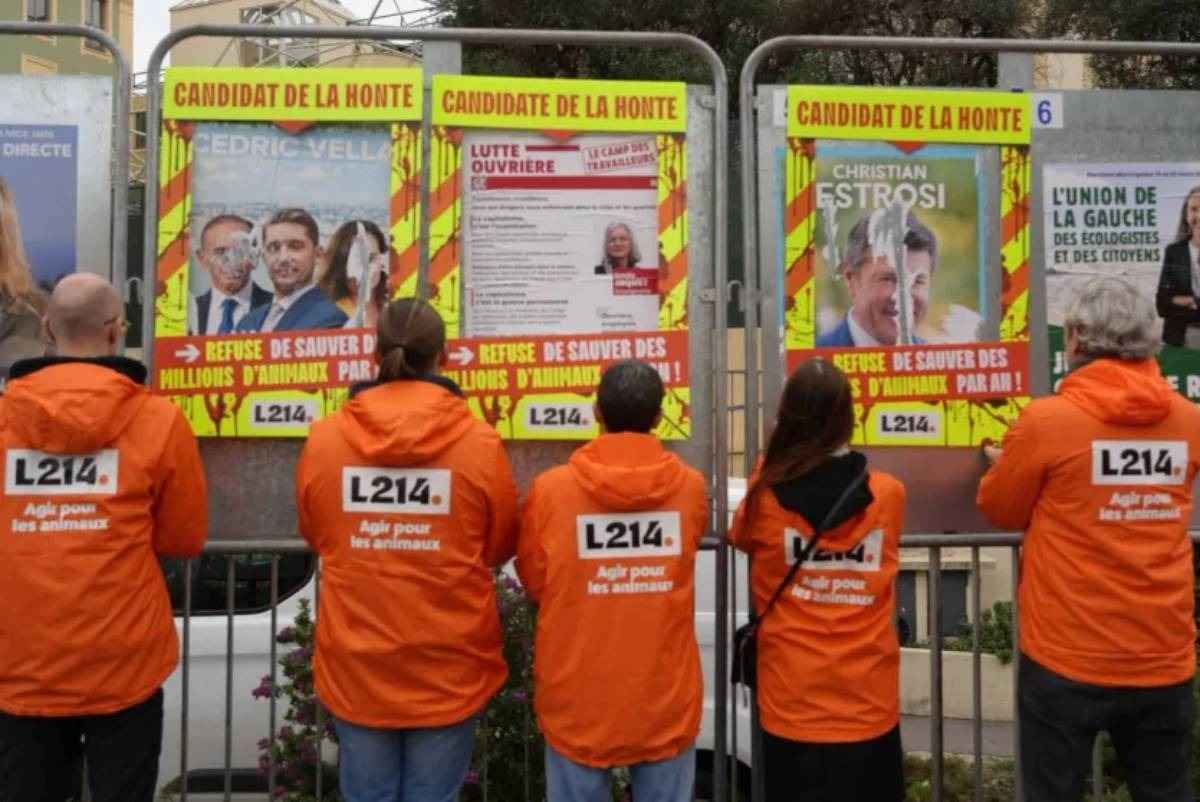 Action L214 du 7 mars 2026 à Nice. Cinq bénévoles L214 tiennent des cadres jaune fluo devant les affiches électorales de trois candidats aux élections municipales pour dénoncer leur absence d'engagement en faveur des animaux.