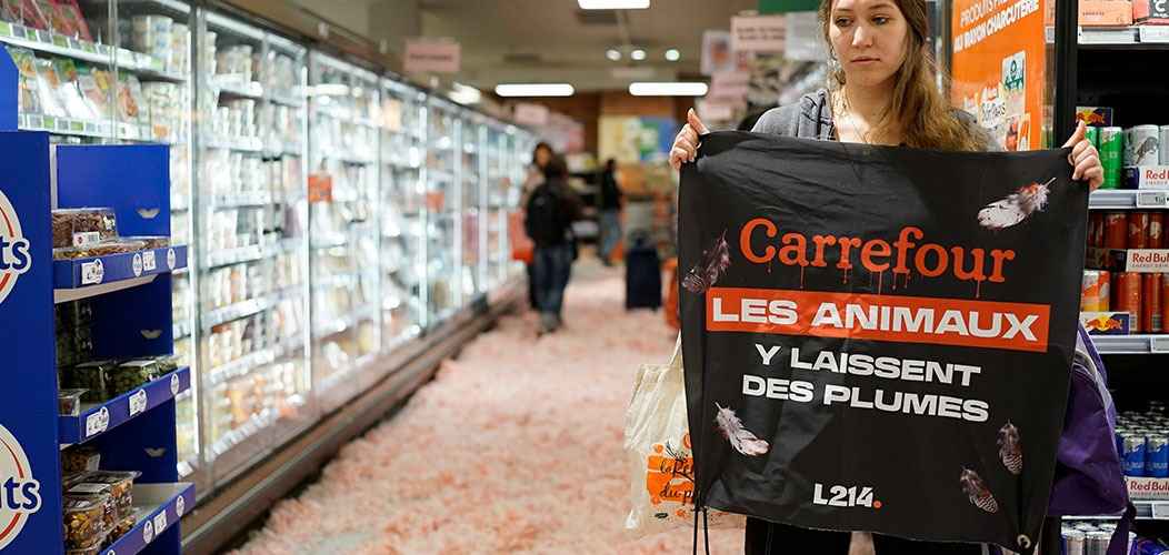 rayon Carrefour rempli de plumes