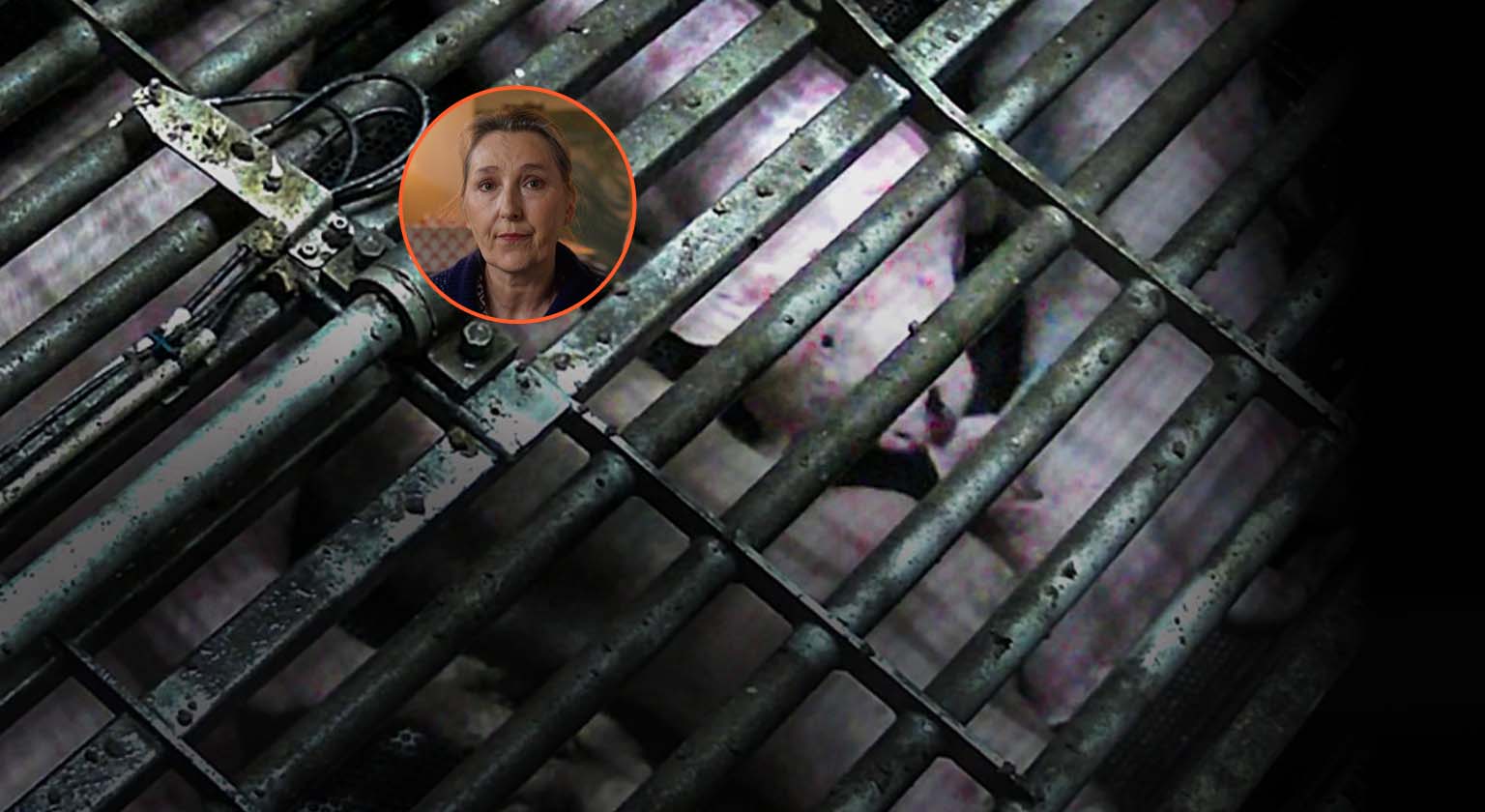 L'écrivaine Marie Darrieussecq présente l'enquête de L214 sur l'étourdissement au gaz CO2 des cochons dans un abattoir Cooperl fournissant Carrefour.