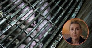 L'écrivaine Marie Darrieussecq présente l'enquête de L214 sur l'étourdissement au gaz CO2 des cochons dans un abattoir Cooperl fournissant Carrefour.
