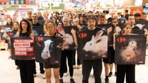 action L214 dans un Carrefour