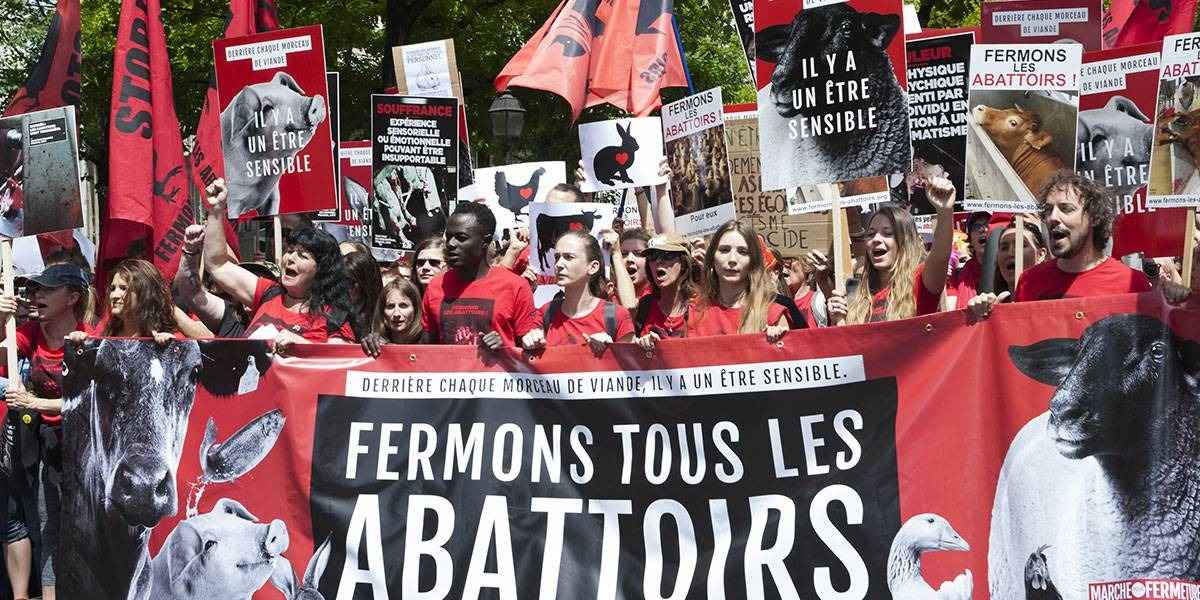 Marche pour la fermeture des abattoirs à Paris en 2019 (photo libre de droits)