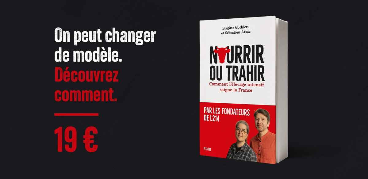 On peut changer de modèle. Découvrez comment.