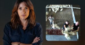 Aure Atika interpelle Carrefour sur son soutien à l'élevage intensif