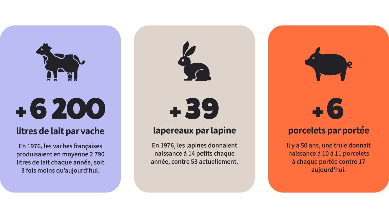 MD Insensibles PageActu Image2